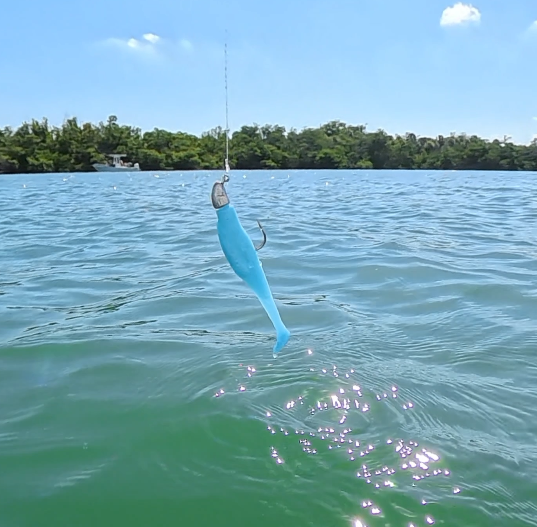 Blue Swimmer 3.5" - 3 Pack
