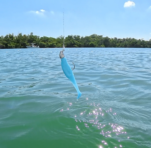 Blue Swimmer 3.5" - 3 Pack